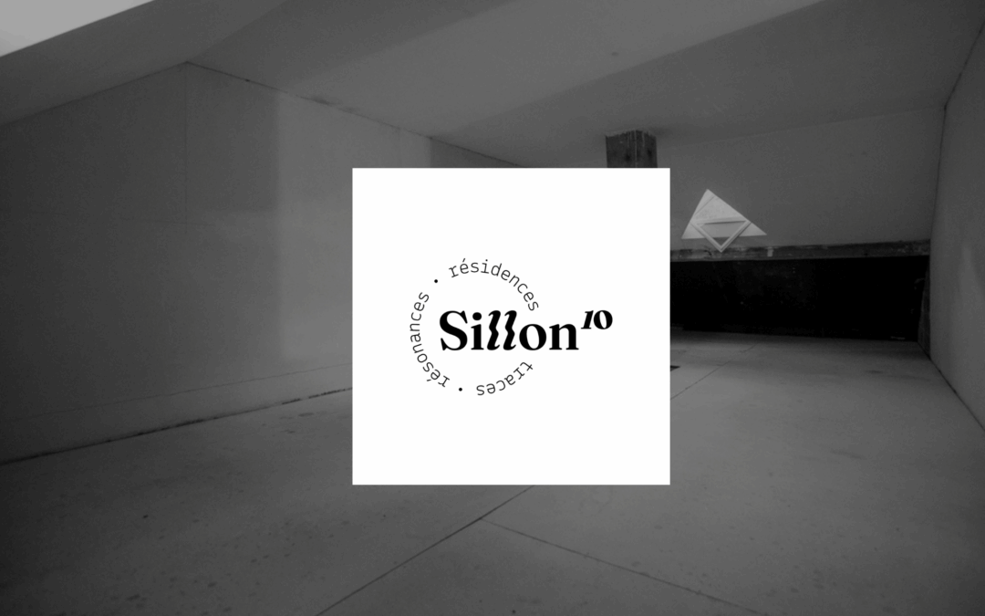 Sillon10
